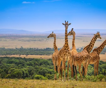 Small groups expeditions to Kenya